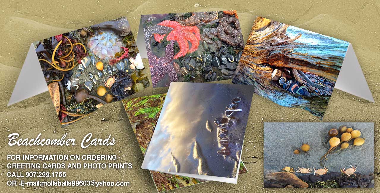 Molly's Cards